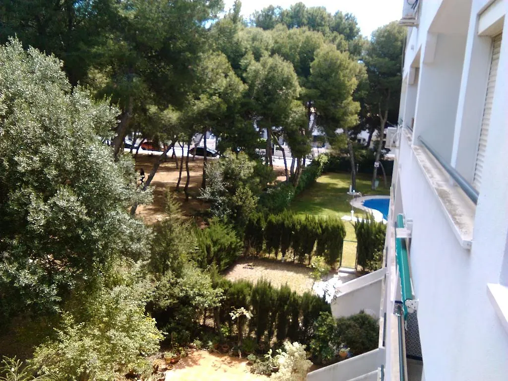 Apartamento Pinar De Montemar 토레몰리노스 0*,