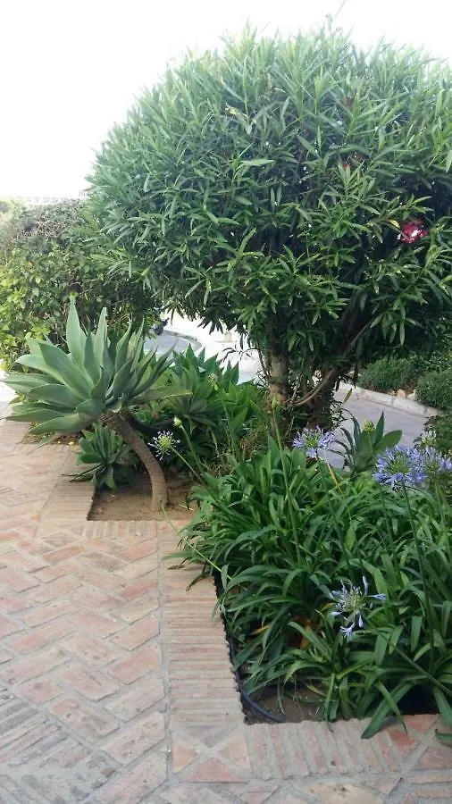 Apartamento Pinar De Montemar 토레몰리노스 0*,